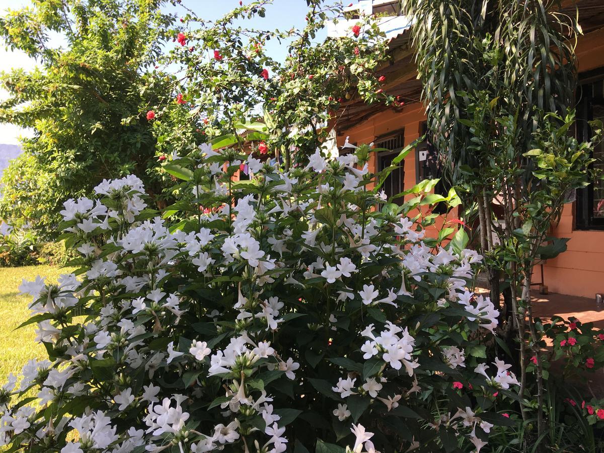 Hidden Paradise Guest House Pokhara Exterior foto